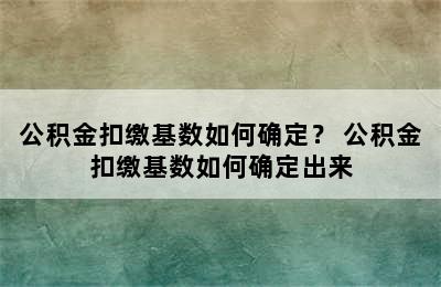 公积金扣缴基数如何确定？ 公积金扣缴基数如何确定出来